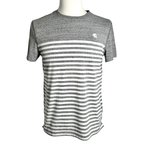 Express Other - Men's | Express | Gray White Striped Short Sleeve Soft Stretchy T-Shirt Top - M